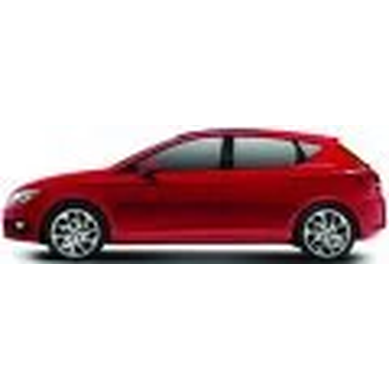 LEON III 2013-