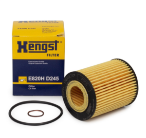 HENGST E820HD245 | Bmw F30 316i-320i Yağ Filtresi