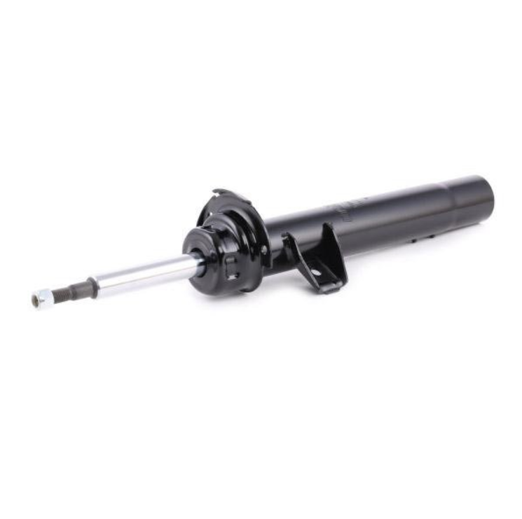 BSG 15-300-043 | Bmw 1 Seri E81 Kasa Ön Sol Amortisör